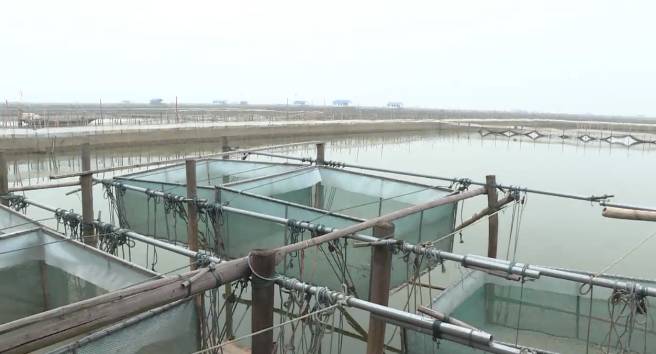 太湖解析揭秘，三段式深度解读，探寻排除冷号后的真相！